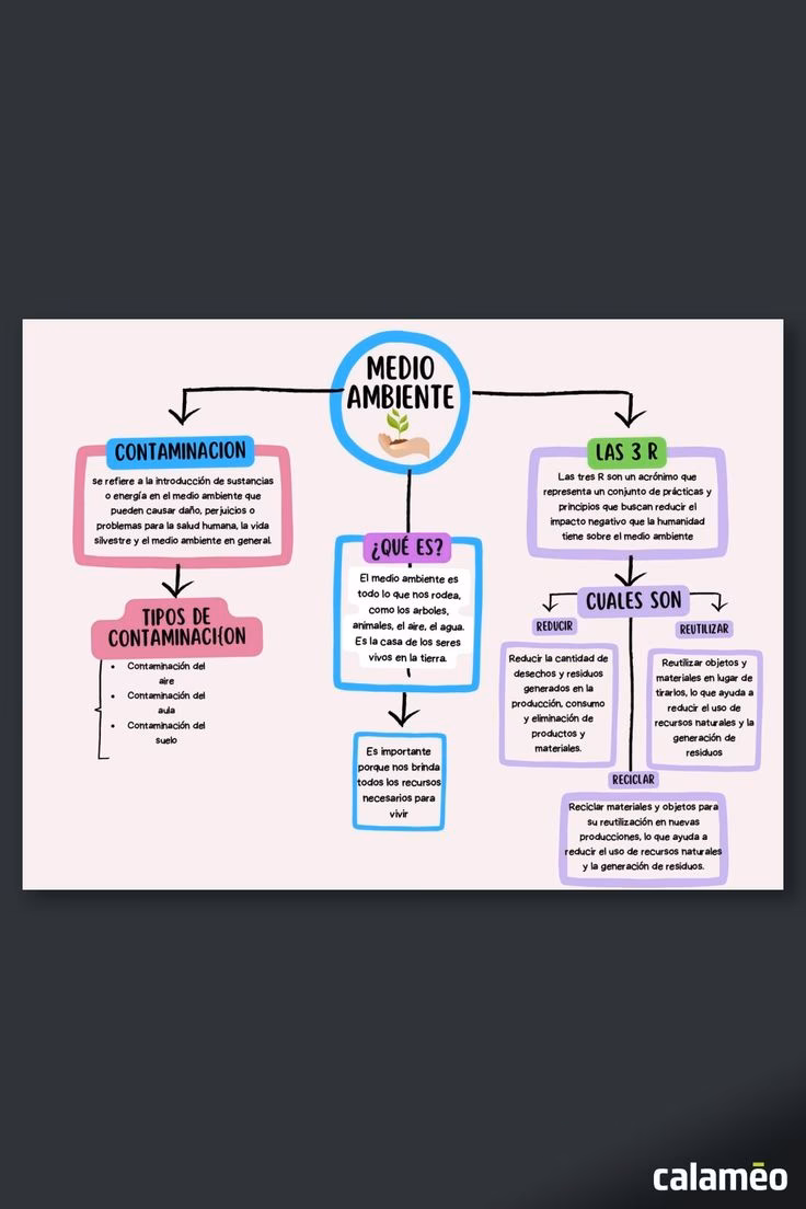 ¿Cuáles son las características del Medio Ambiente?