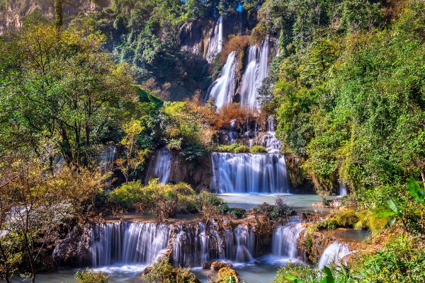 ¿Qué es el medio ambiente natural?