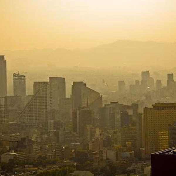 ¿Cuándo comenzó el problema de la contaminación en Zamora, México?