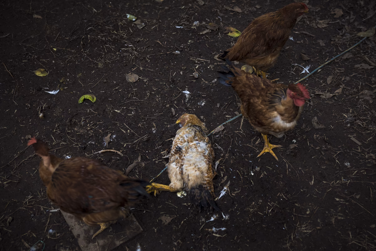 ¿Cuál es la contaminación de los cauces hídricos y aguas subterráneas en Paraguay?