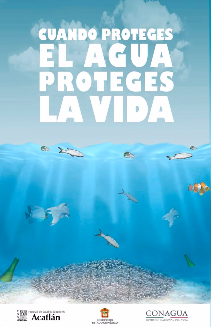¿Cómo evitar la contaminación de las tarjetas de crédito?