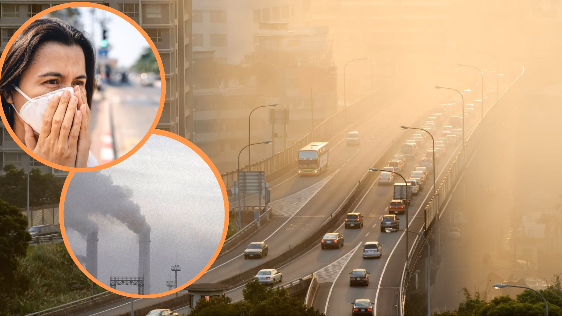 ¿Cómo saber la calidad del aire y la contaminación?
