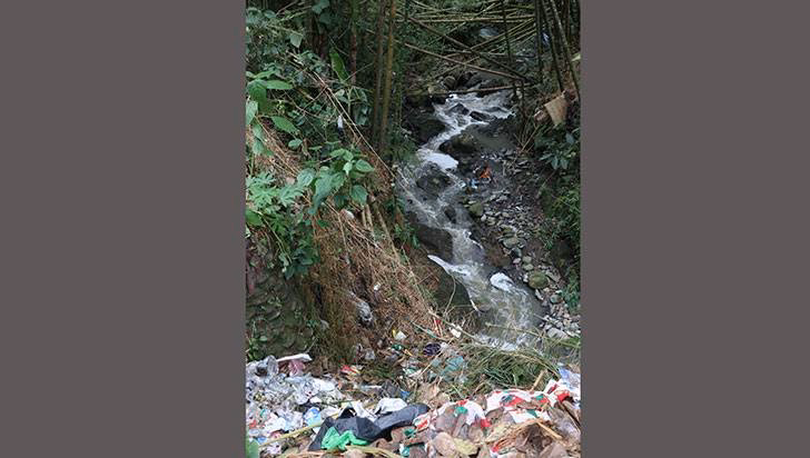 ¿Cuáles son las causas de la contaminacin de la quebrada museas?