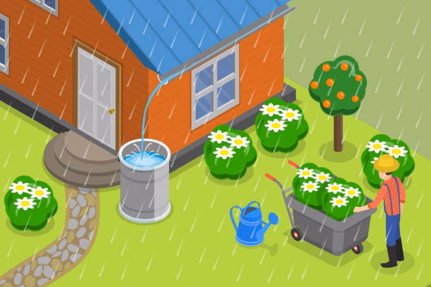 ¿Cómo se puede reciclar el agua de lluvia?