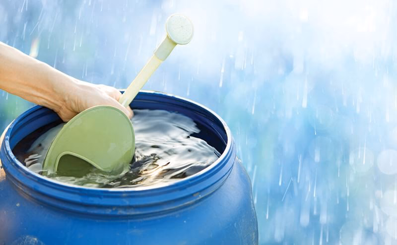 ¿Cómo se puede reciclar el agua de lluvia?