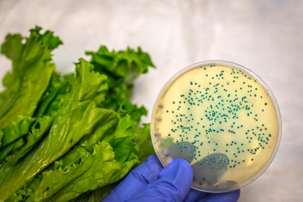 ¿Qué es la evaluación del riesgo biológico?