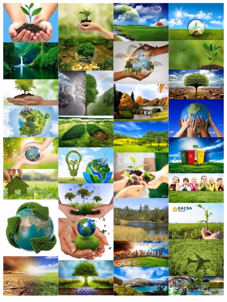 ¿Cuántas ilustraciones hay disponibles para collage medio ambiente?