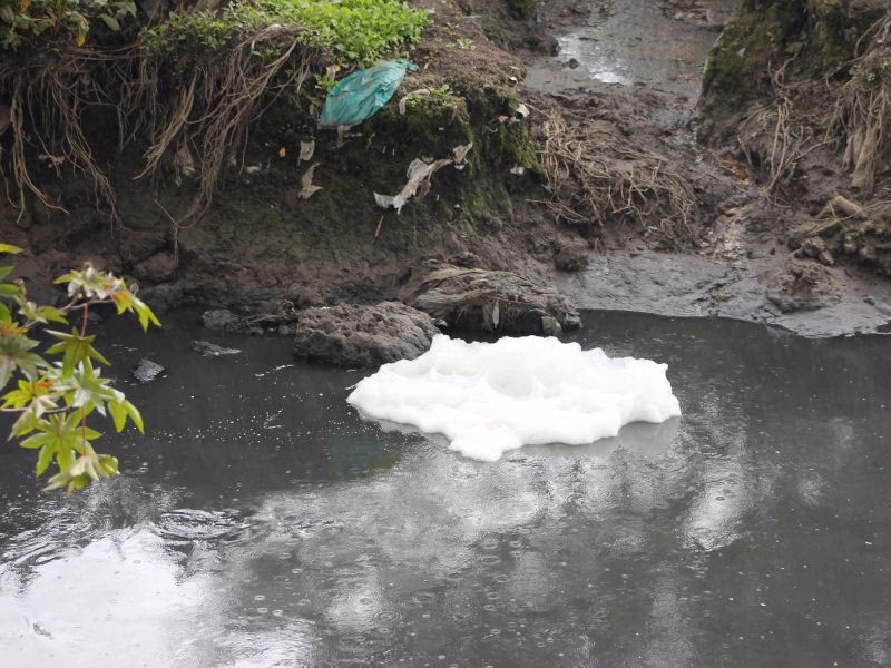 ¿Cuál es la problemática del río Bogotá?