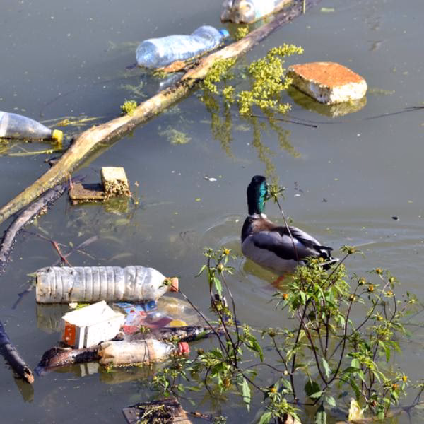¿Qué es la contaminación del agua en la agricultura?