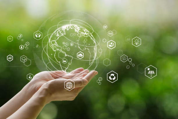 ¿Qué es el programa de sostenibilidad medioambiental?