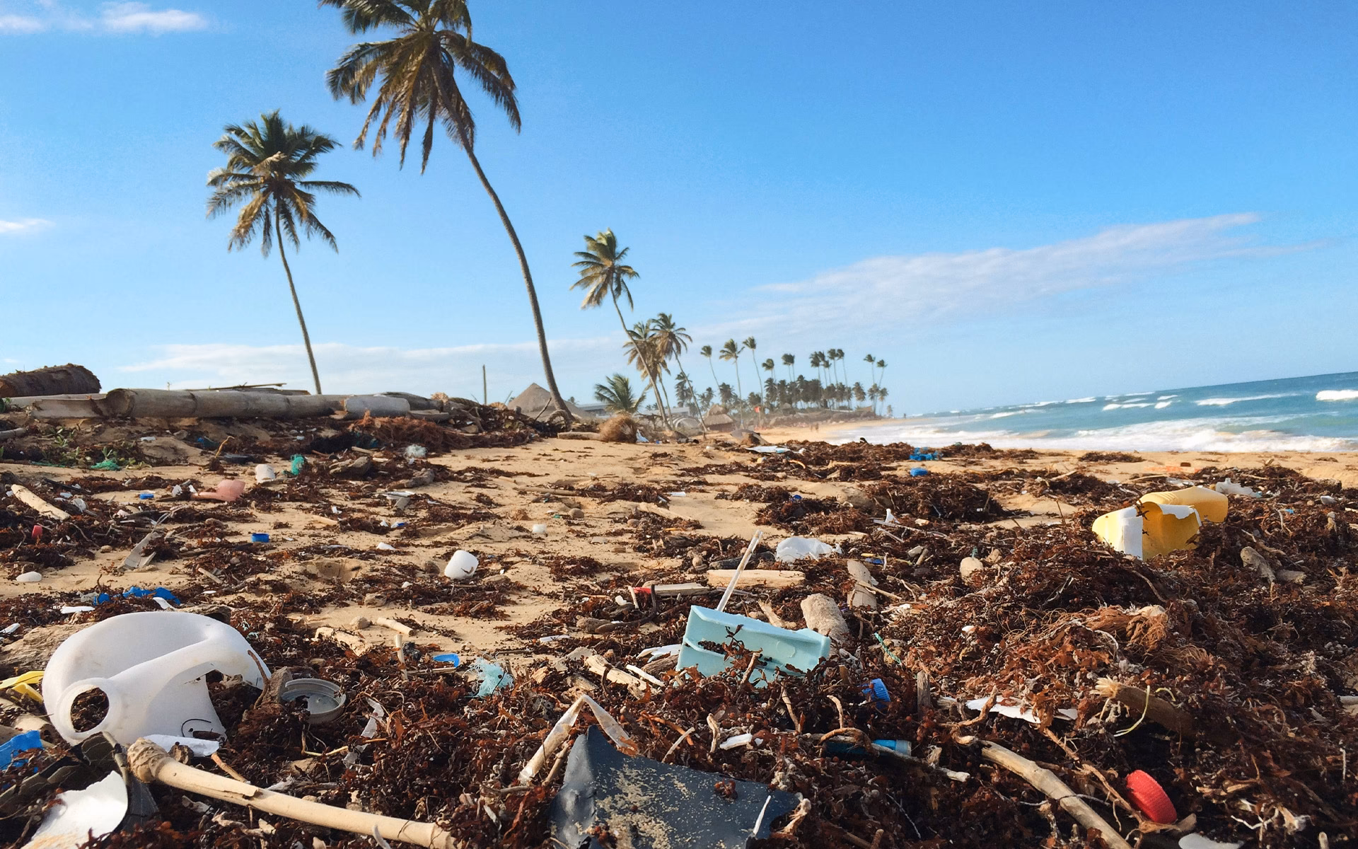 ¿Cómo afecta el turismo al medio ambiente?