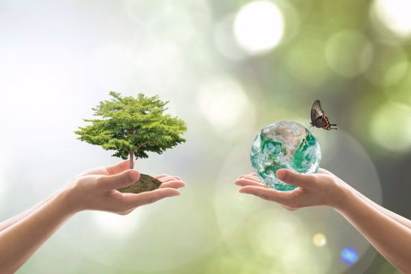 ¿Cuáles son las leyes para el cuidado del Medio Ambiente?