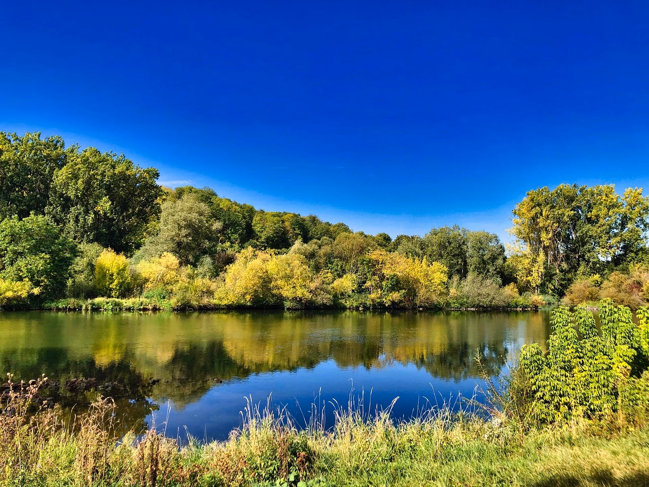 ¿Qué componentes tiene la imagen ambiental?