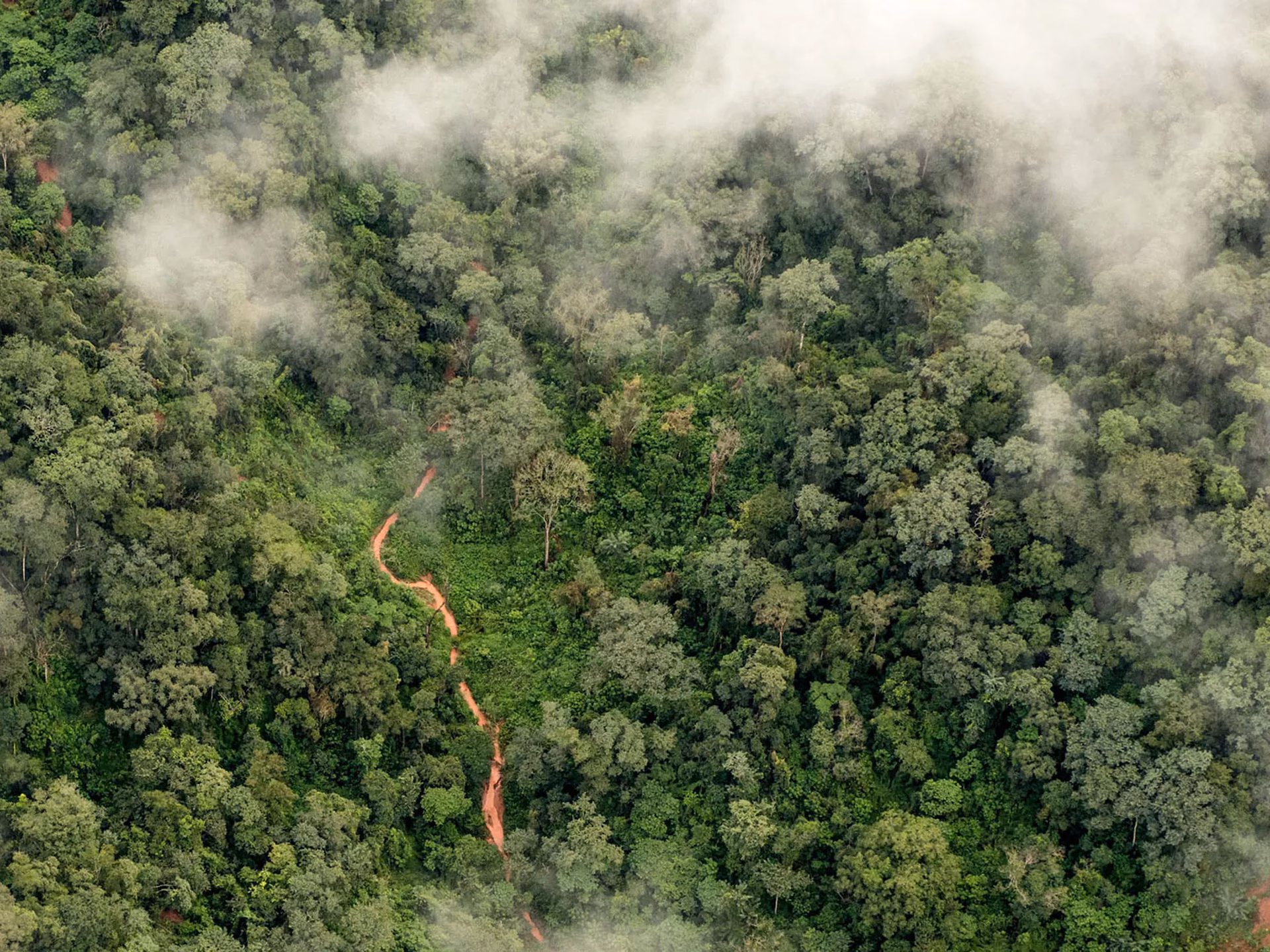 ¿Cuáles son las consecuencias del cambio climático en el norte del país?