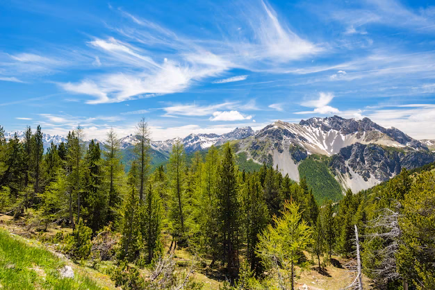 ¿Cómo puedes reducir la contaminación en tus viajes?
