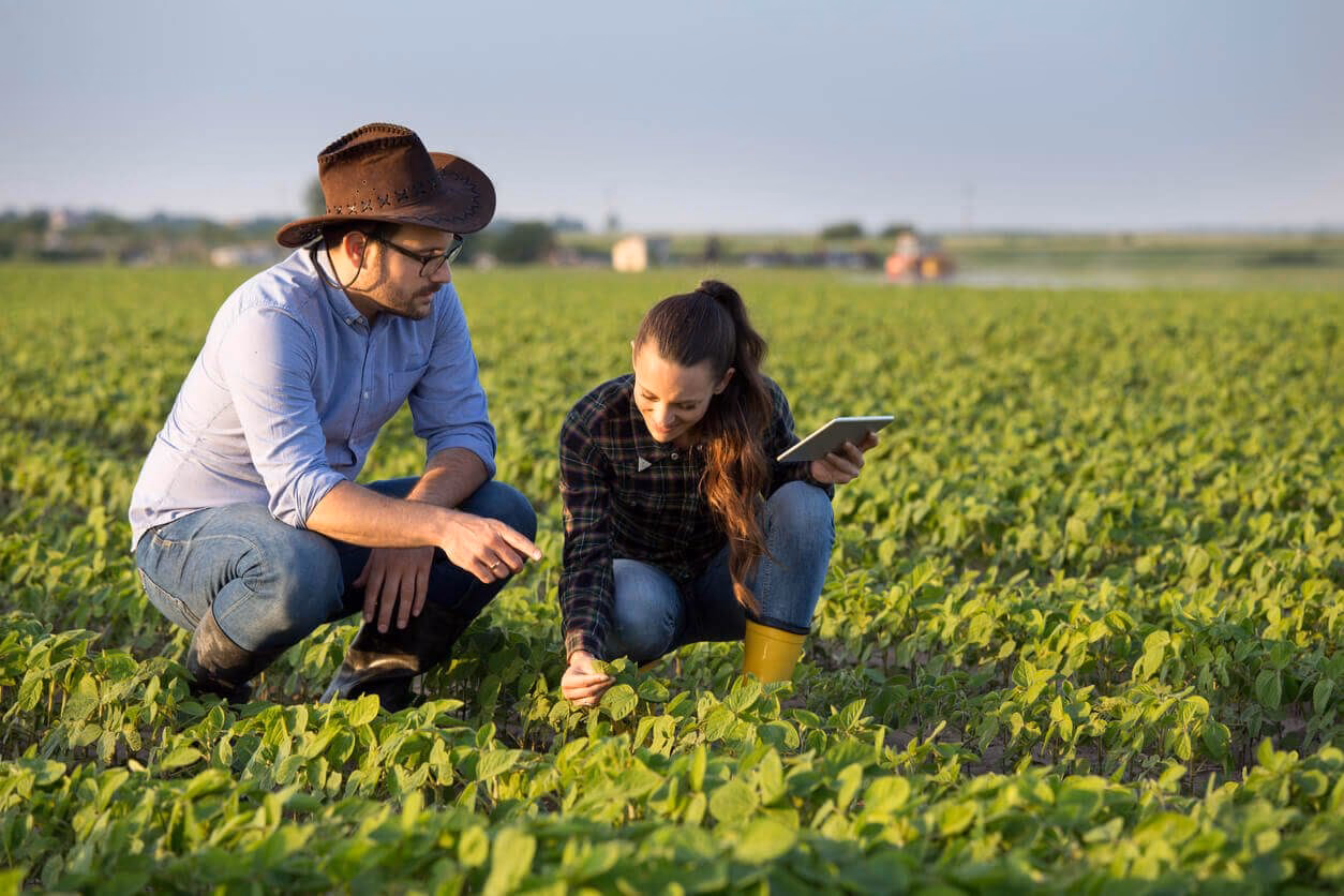 ¿Cuáles son las características de las actividades positivas en el medio ambiente?
