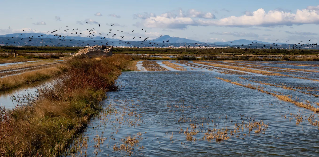 ¿Cómo reducir el impacto ambiental en los humedales?