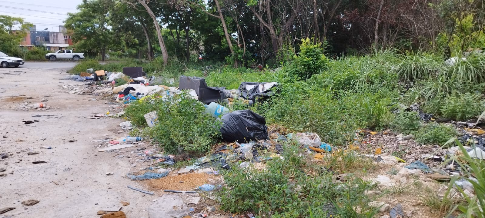 ¿Cuáles son las causas de la contaminación ambiental en el caño?