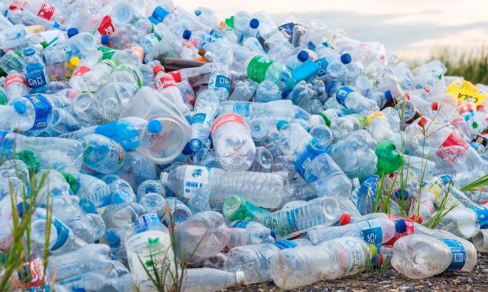¿Cómo cuidar el medio ambiente sin usar plástico?