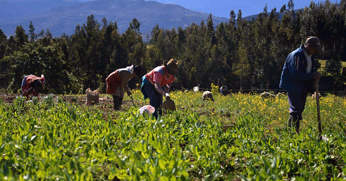 ¿Qué es el medio ambiente rural?