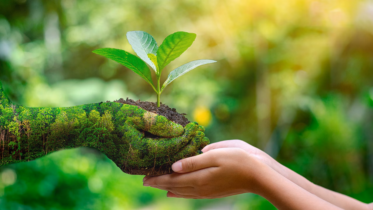 ¿Qué es la naturaleza y el medioambiente?