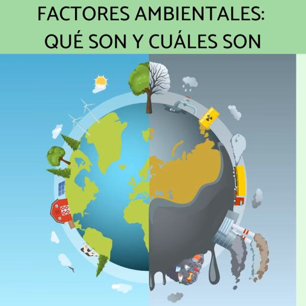 ¿Qué son los factores bióticos del medio ambiente?