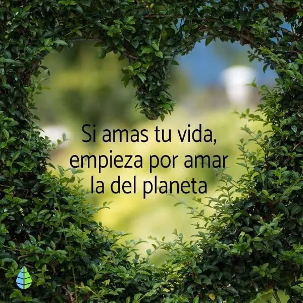 ¿Por qué regalar frases para el día del Medio Ambiente?