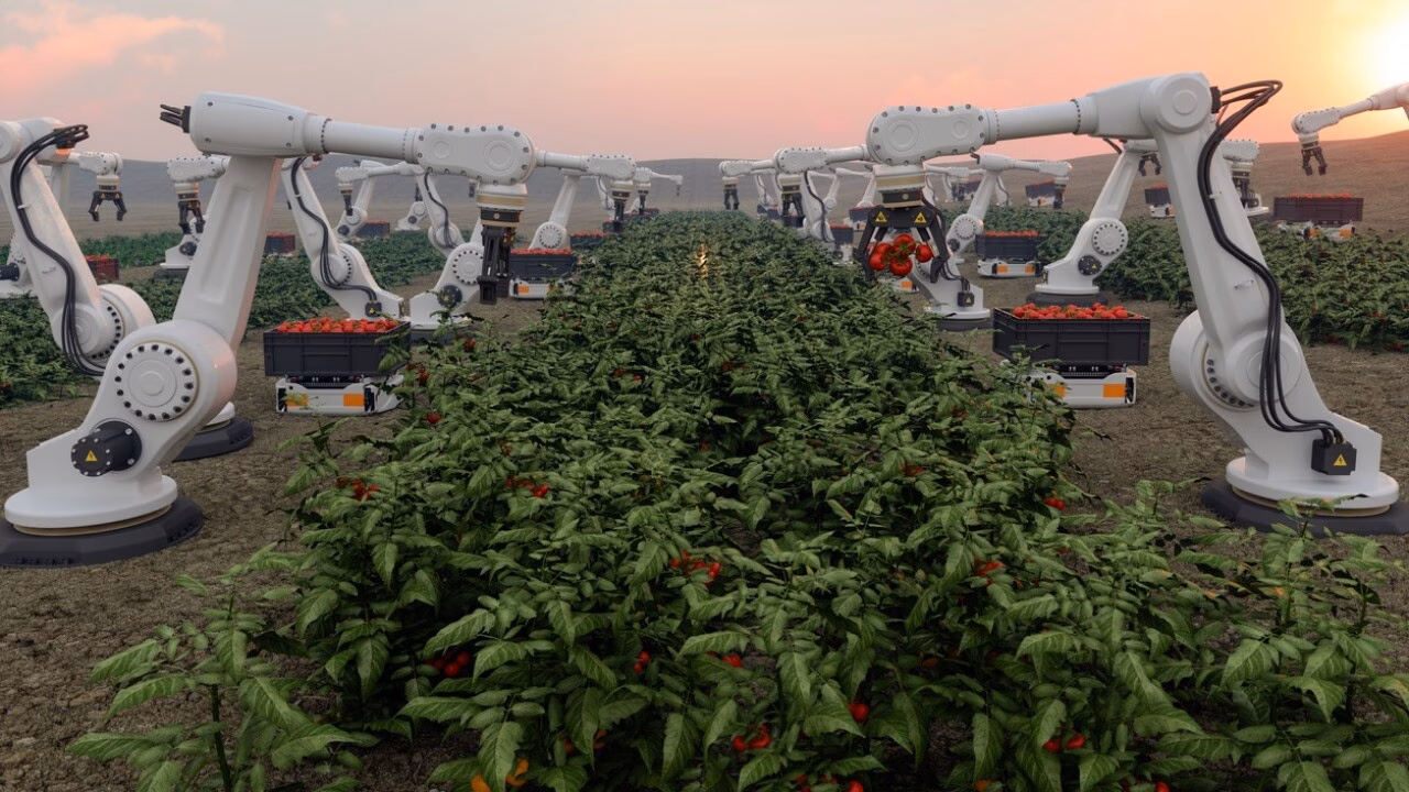 ¿Cuál es el impacto de la robótica en la sociedad?