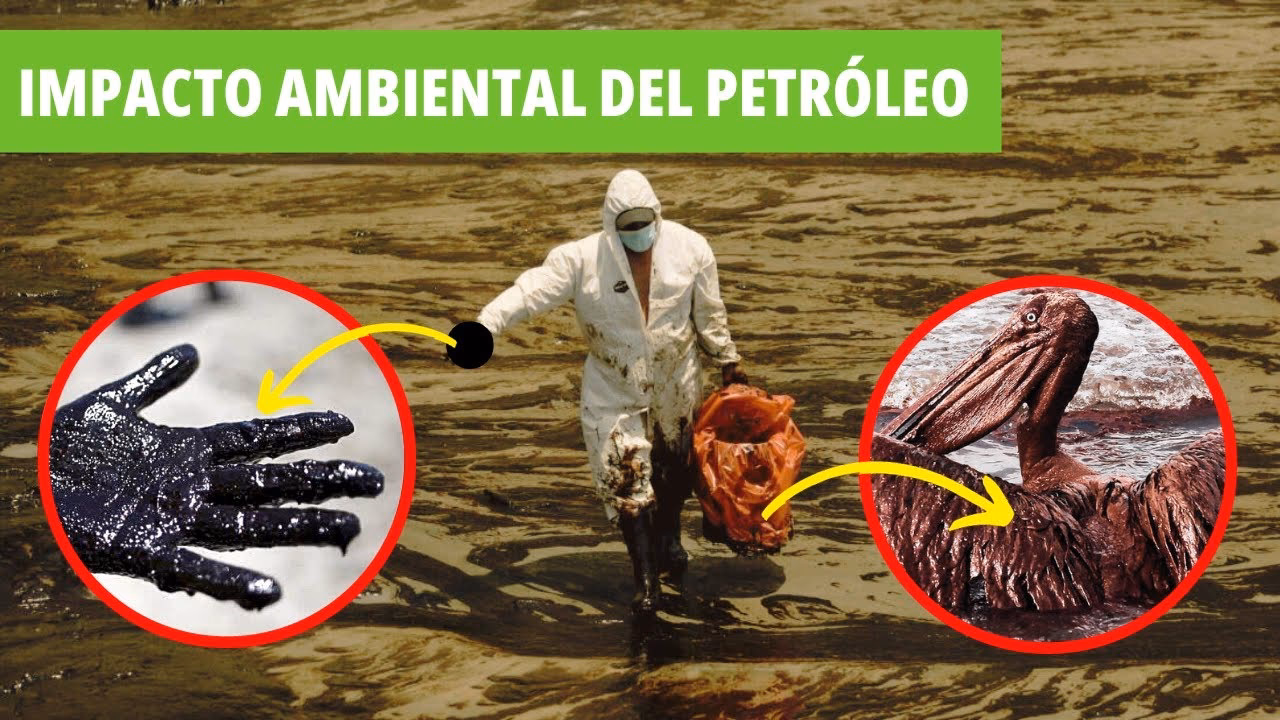 ¿Cuál es el impacto ambiental de los derrames de petróleo?