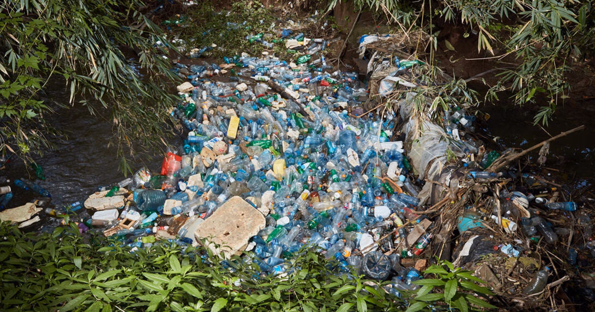 ¿Cómo afectan los plásticos a los ecosistemas acuáticos?