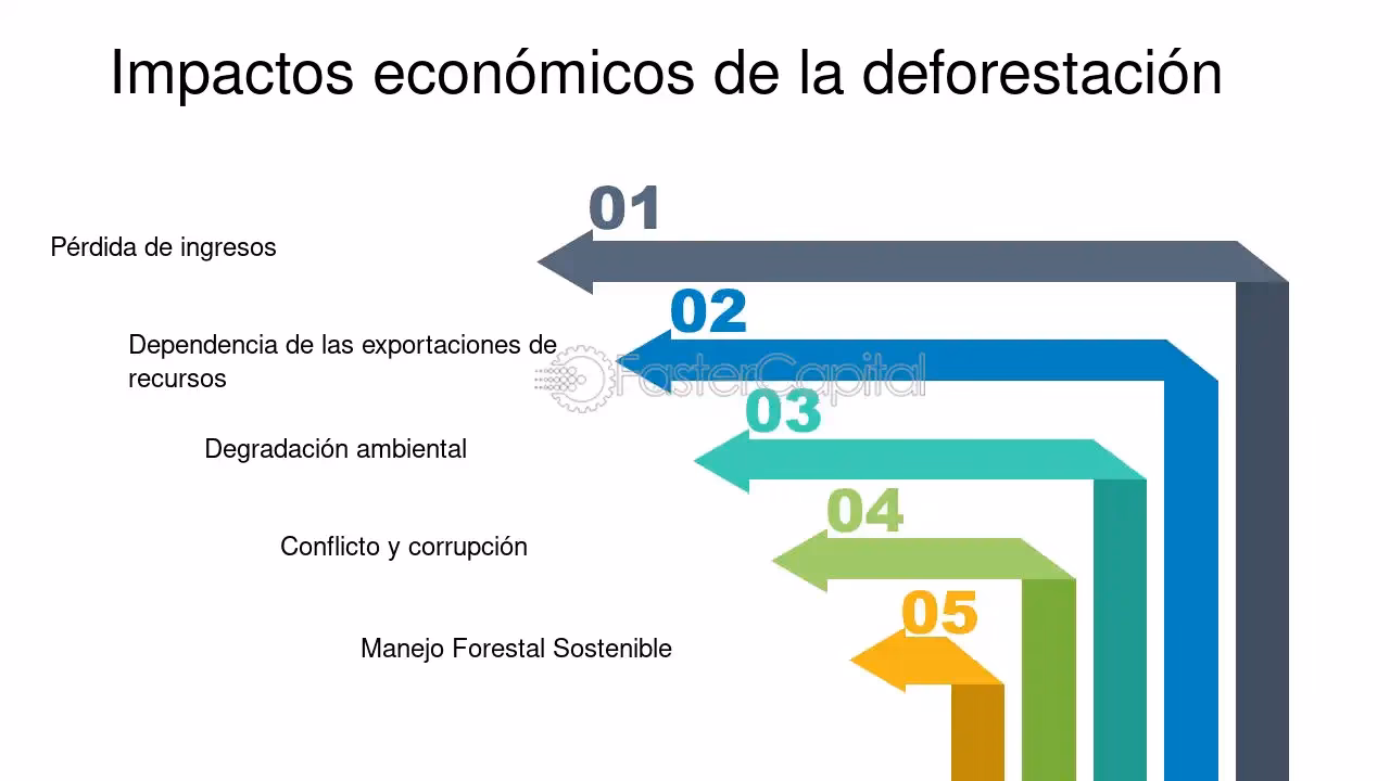 ¿Cuáles son los beneficios de la reforestación?