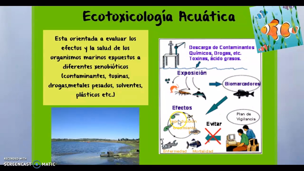 ¿Cómo abordar los estudios ecotoxicológicos mediante el biomonitoreo?