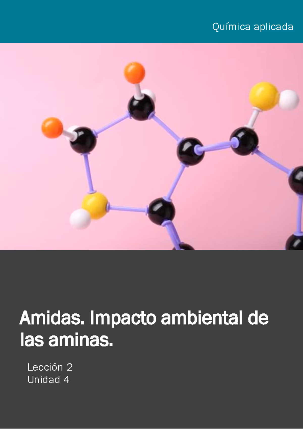 ¿Qué efectos biológicos tienen las amidas?