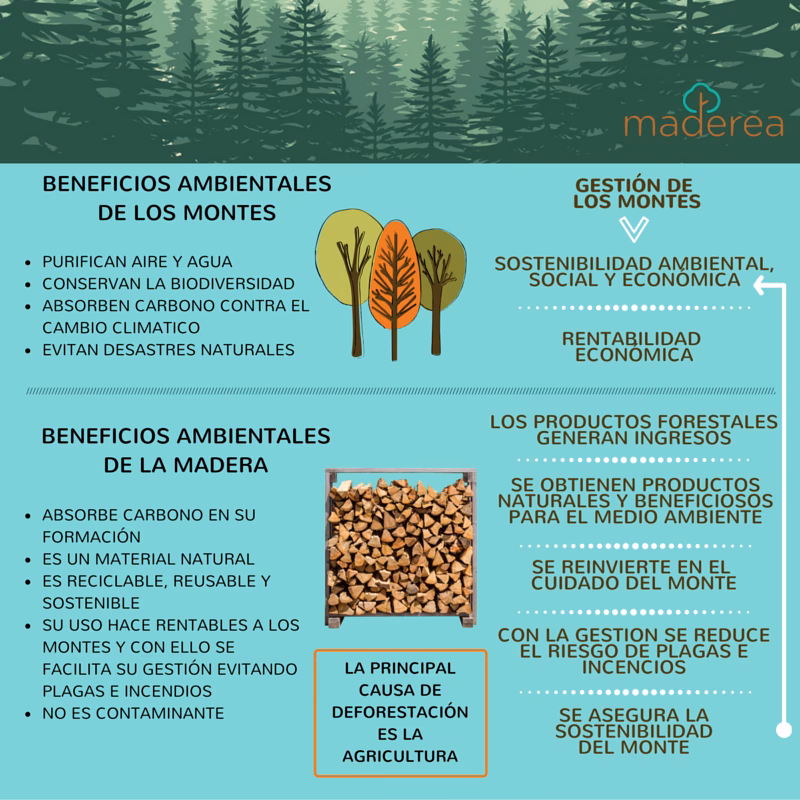 ¿Cuáles son los impactos de la extracción de madera?