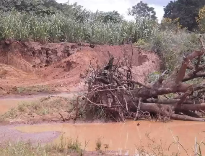 ¿Cómo afectan las ladrilleras artesanales al medio ambiente?