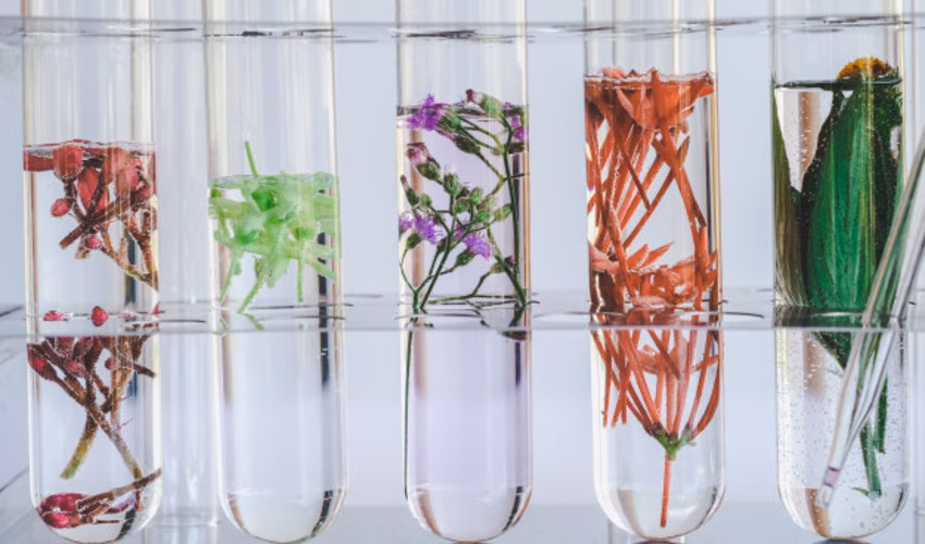 ¿Cuál es la importancia de la biotecnología en la lucha contra el cambio climático?