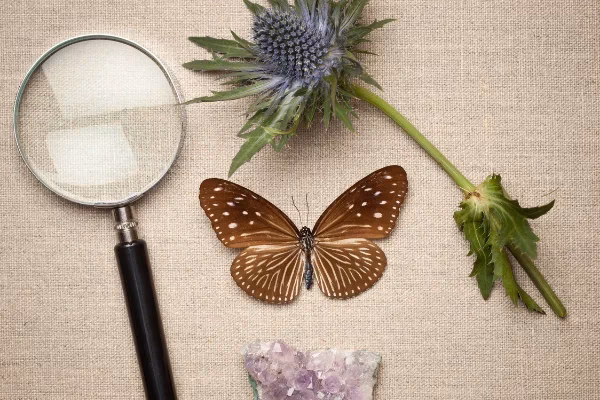 ¿Cuáles son los roles de la biología en el medio ambiente?