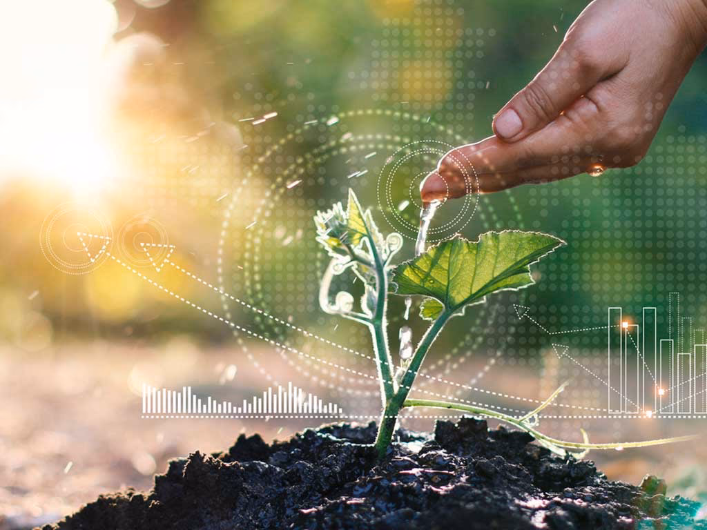 ¿Cuáles son los beneficios de la ecología para el medio ambiente?