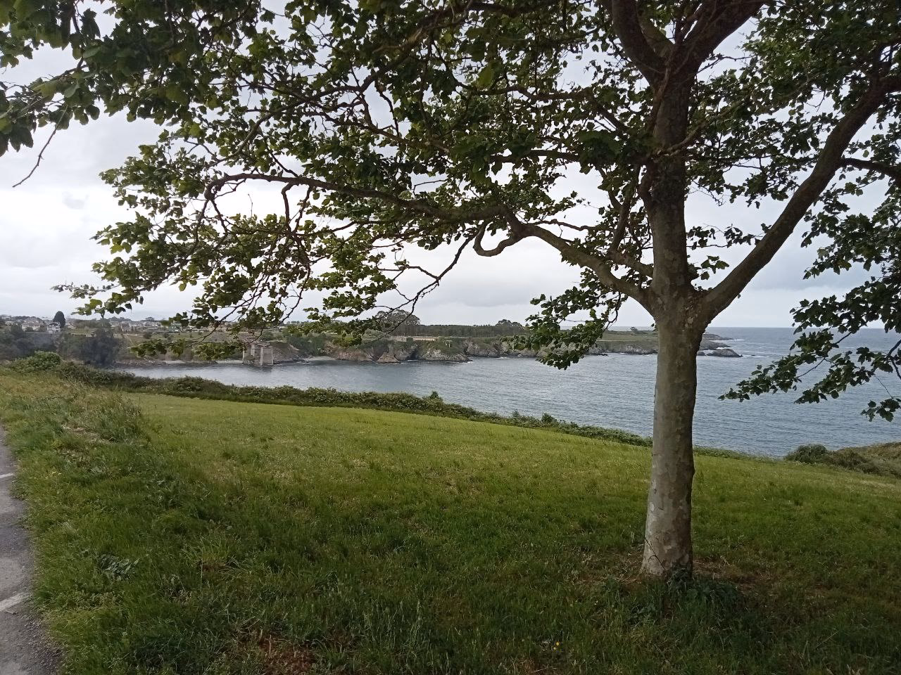 ¿Cuál es la importancia de la mecánica en el medio ambiente?