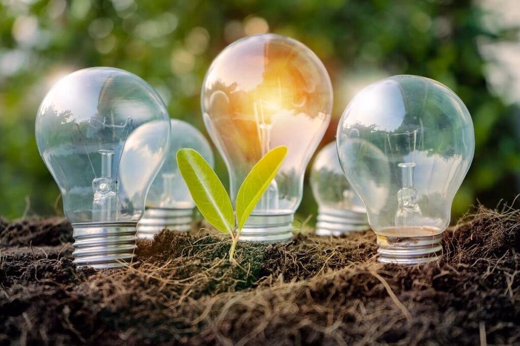 ¿Cuál es el papel de la física en la conservación del Medio Ambiente?