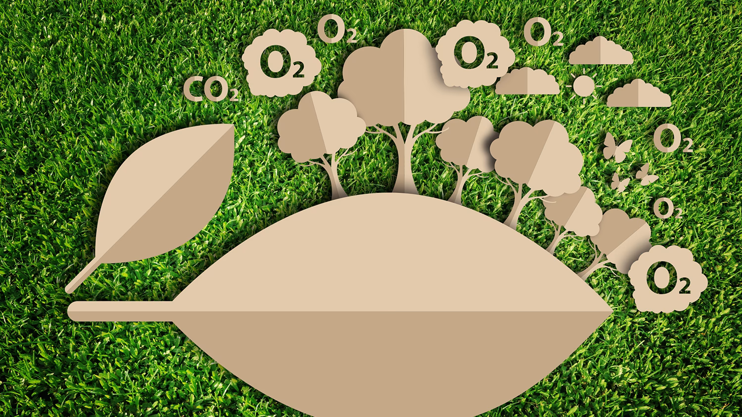 ¿Cuál es el papel de los cultivos en el calentamiento global?