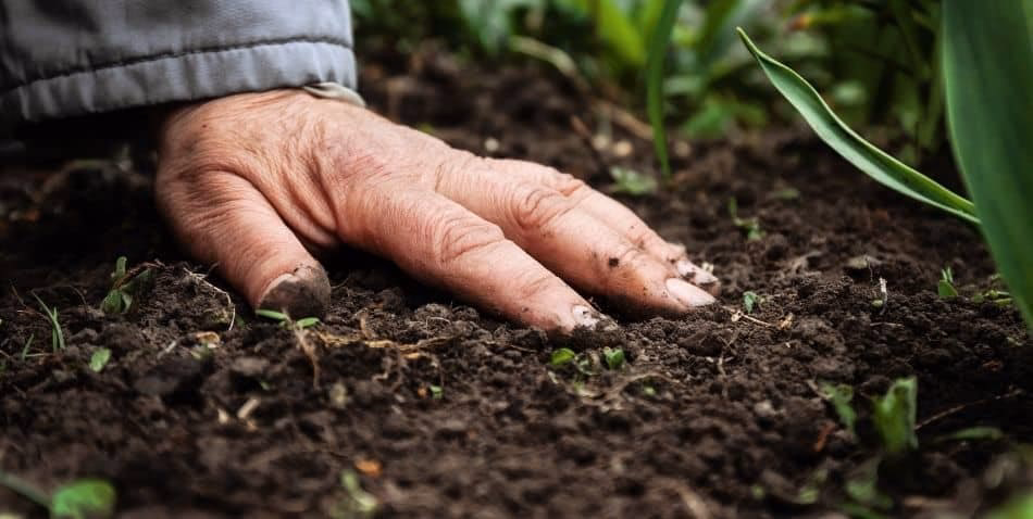 ¿Cuál es la importancia de la materia orgánica en el suelo?
