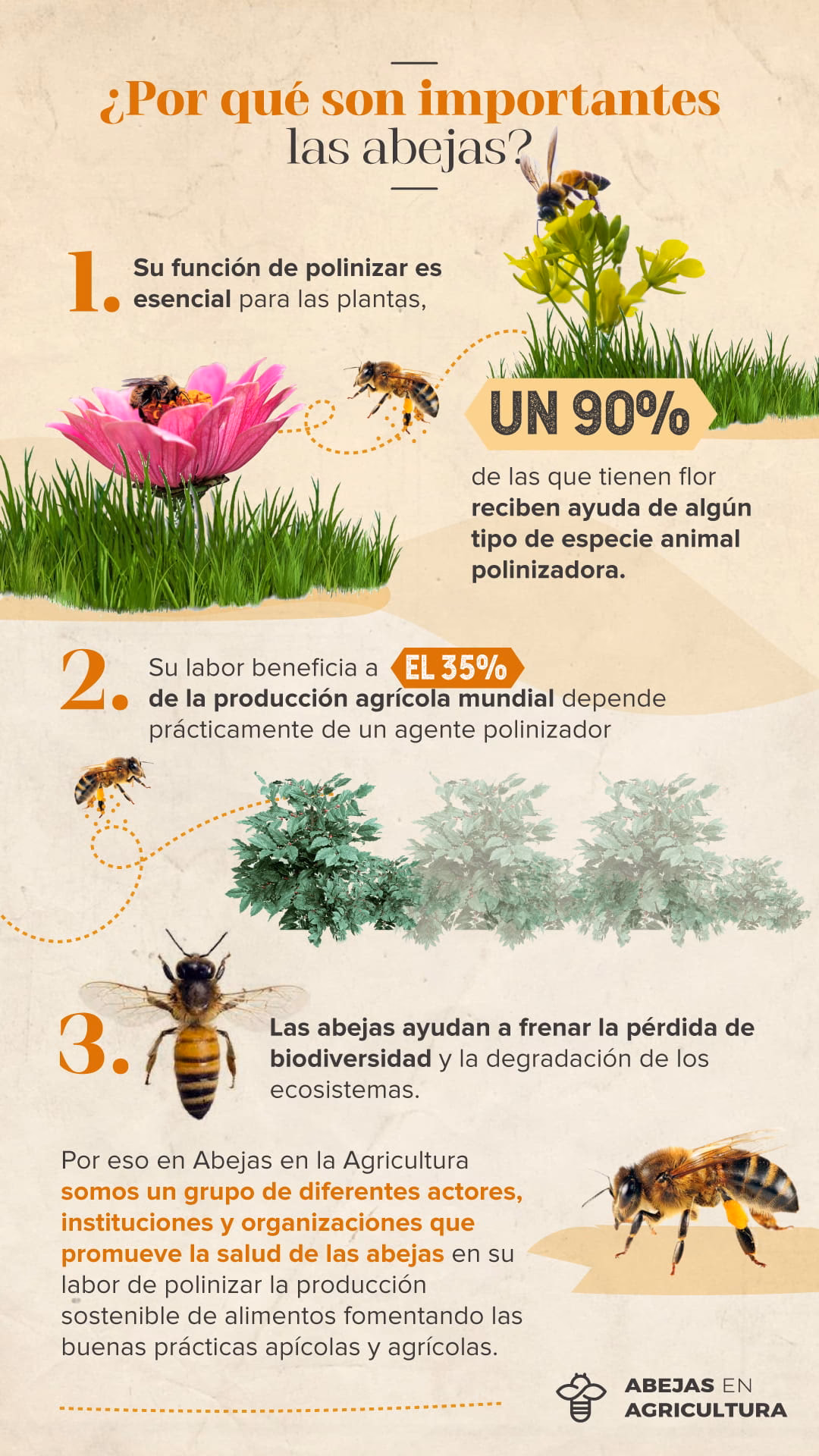 ¿Cuál es el papel de los polinizadores en la conservación de la biodiversidad?