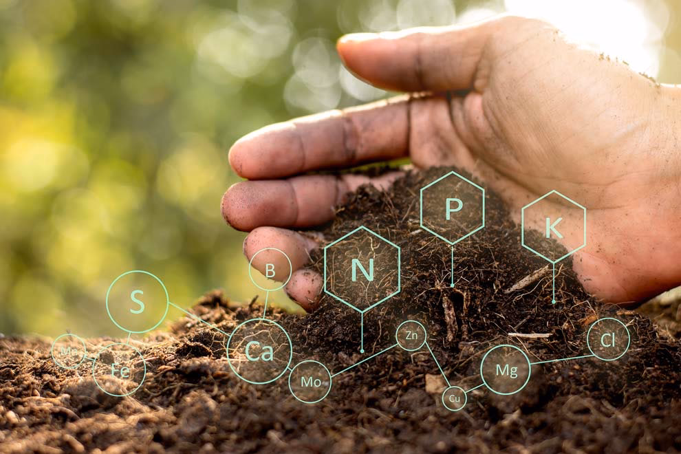 ¿Cuál es la relación entre la química orgánica y la agricultura?