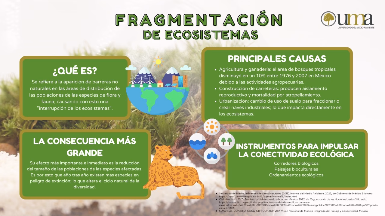 ¿Cuánto dura el curso de Manejo Integrado del Medio Ambiente?