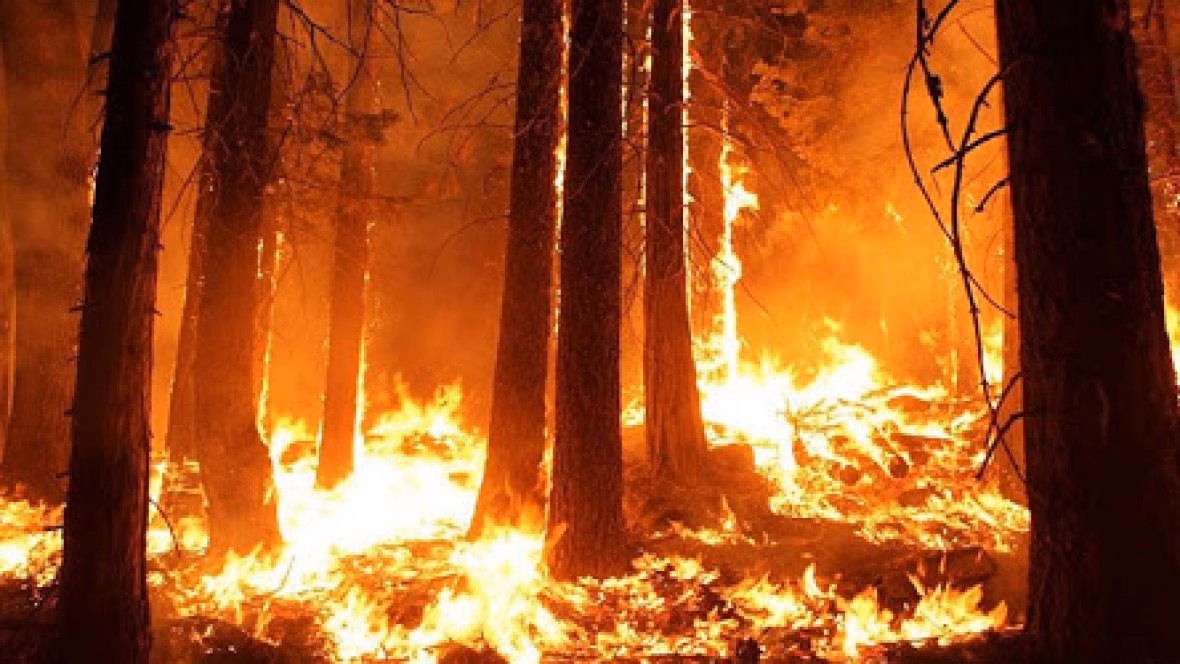 ¿Cuáles son las consecuencias de los fuegos en Buenos Aires?