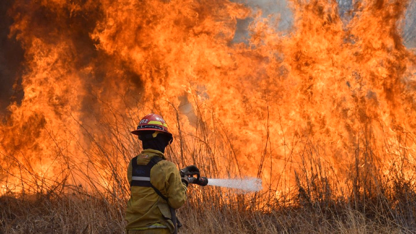¿Cómo afectan los incendios a la dinámica ecológica?