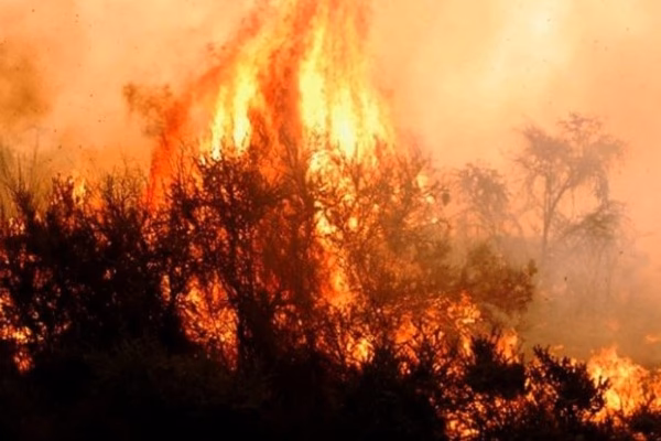 ¿Cómo afecta el cambio climático a los incendios?