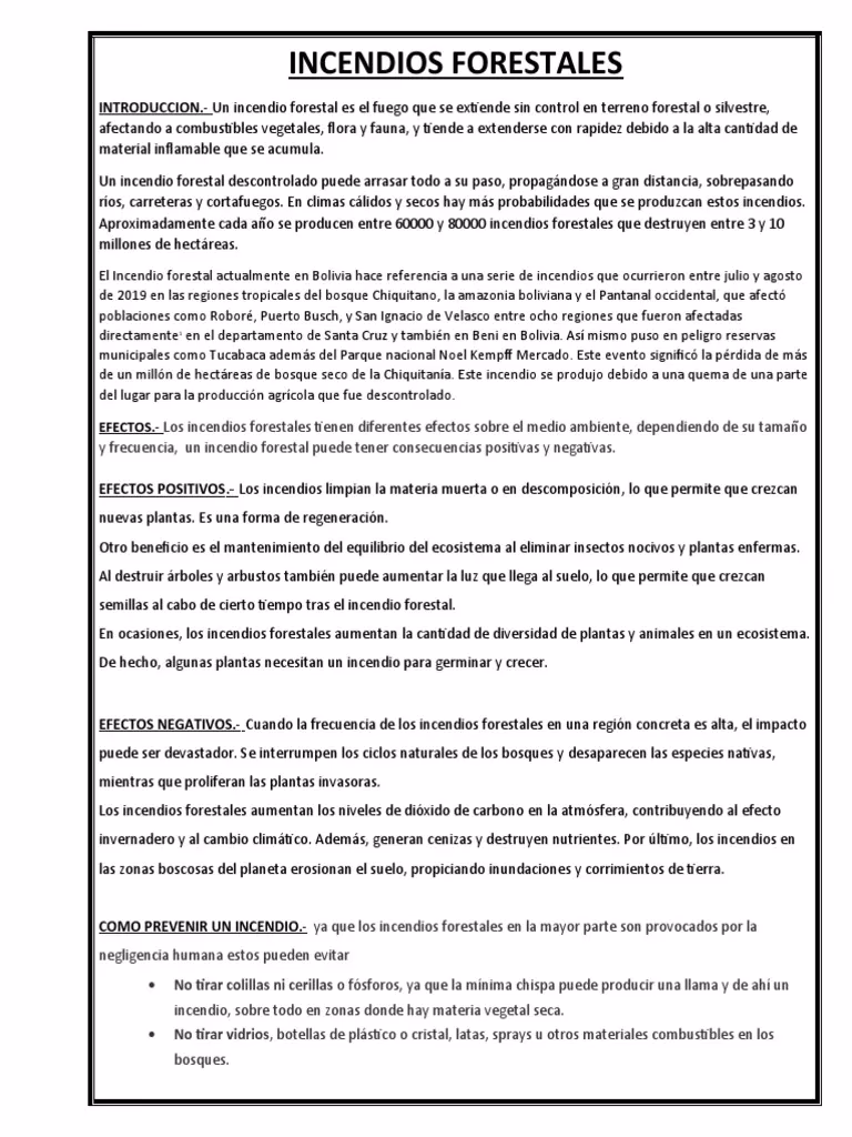 ¿Qué es un incendio forestal?