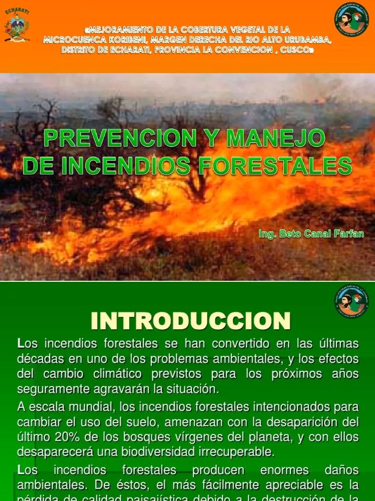 ¿Qué es un incendio forestal?
